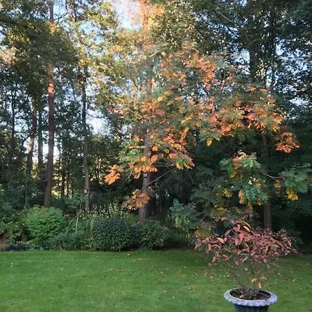 Wendrik Hoeve Bed & Stables