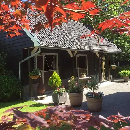 Wendrik Hoeve Bed & Stables Emst