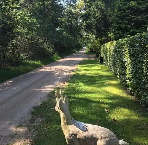 Apartament Wendrik Hoeve Bed & Stables *