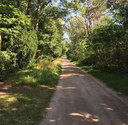 Wendrik Hoeve Bed & Stables *