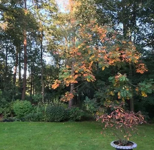 Wendrik Hoeve Bed & Stables