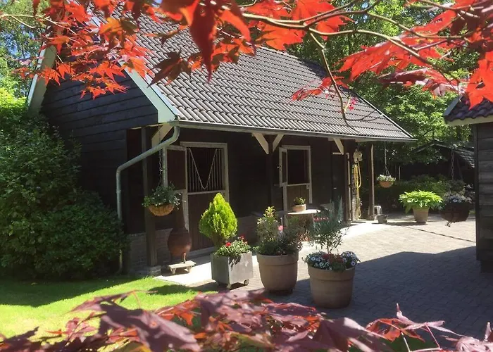 Wendrik Hoeve Bed & Stables Emst